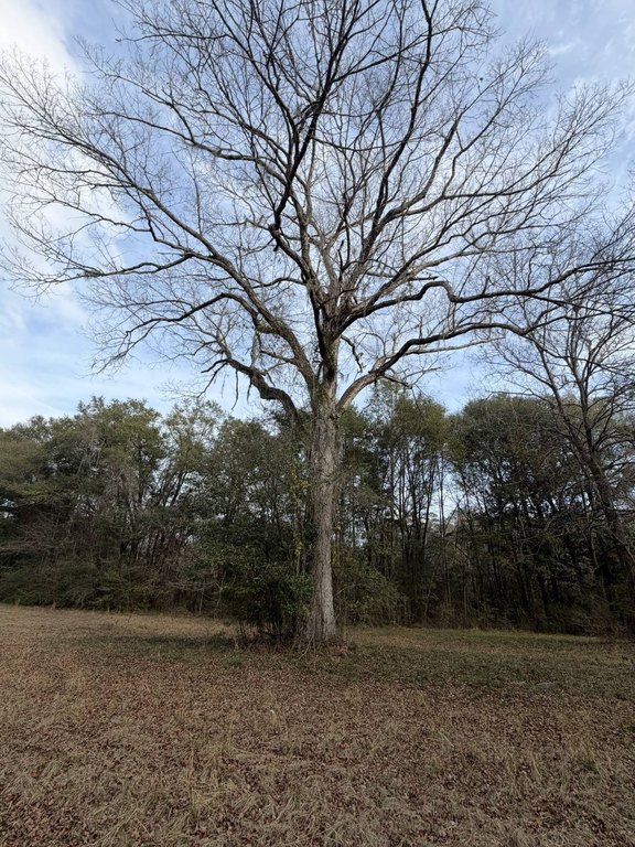 Picture 21