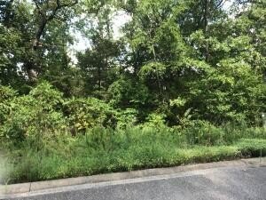LAND - Hollister, MO