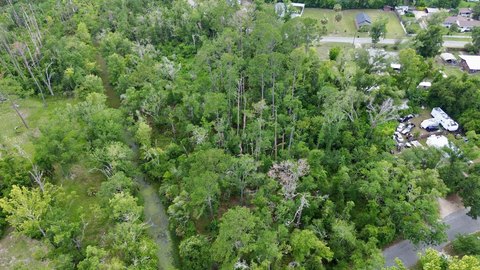 LAND - Perry, FL