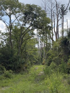 Land, Perry, FL