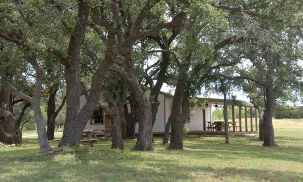 Picture 19