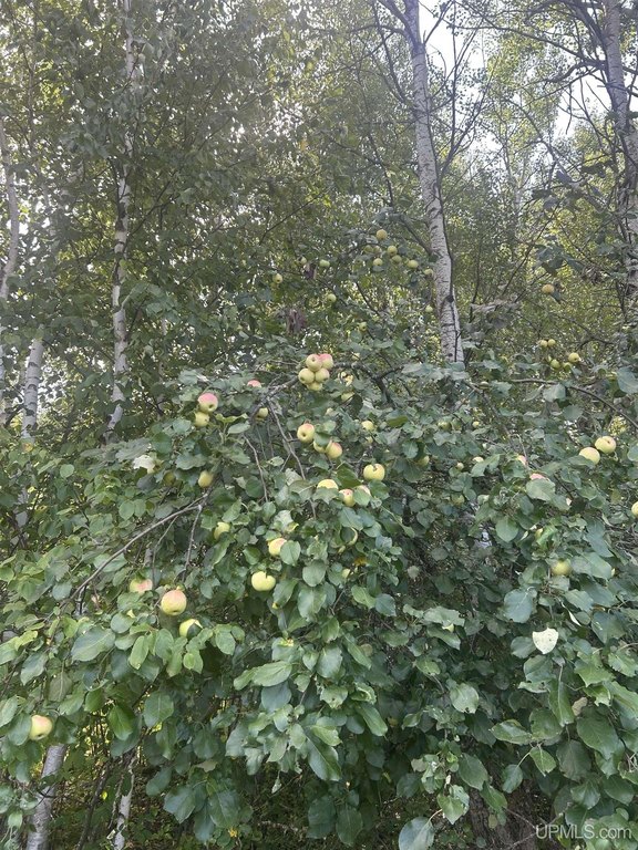 Picture 18