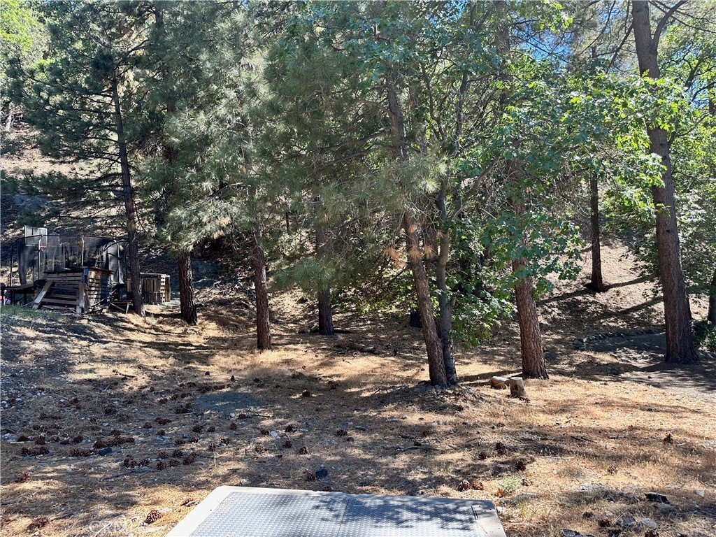 Picture 11