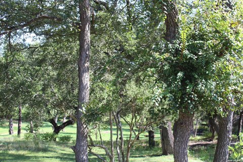 LAND - Canyon Lake, TX