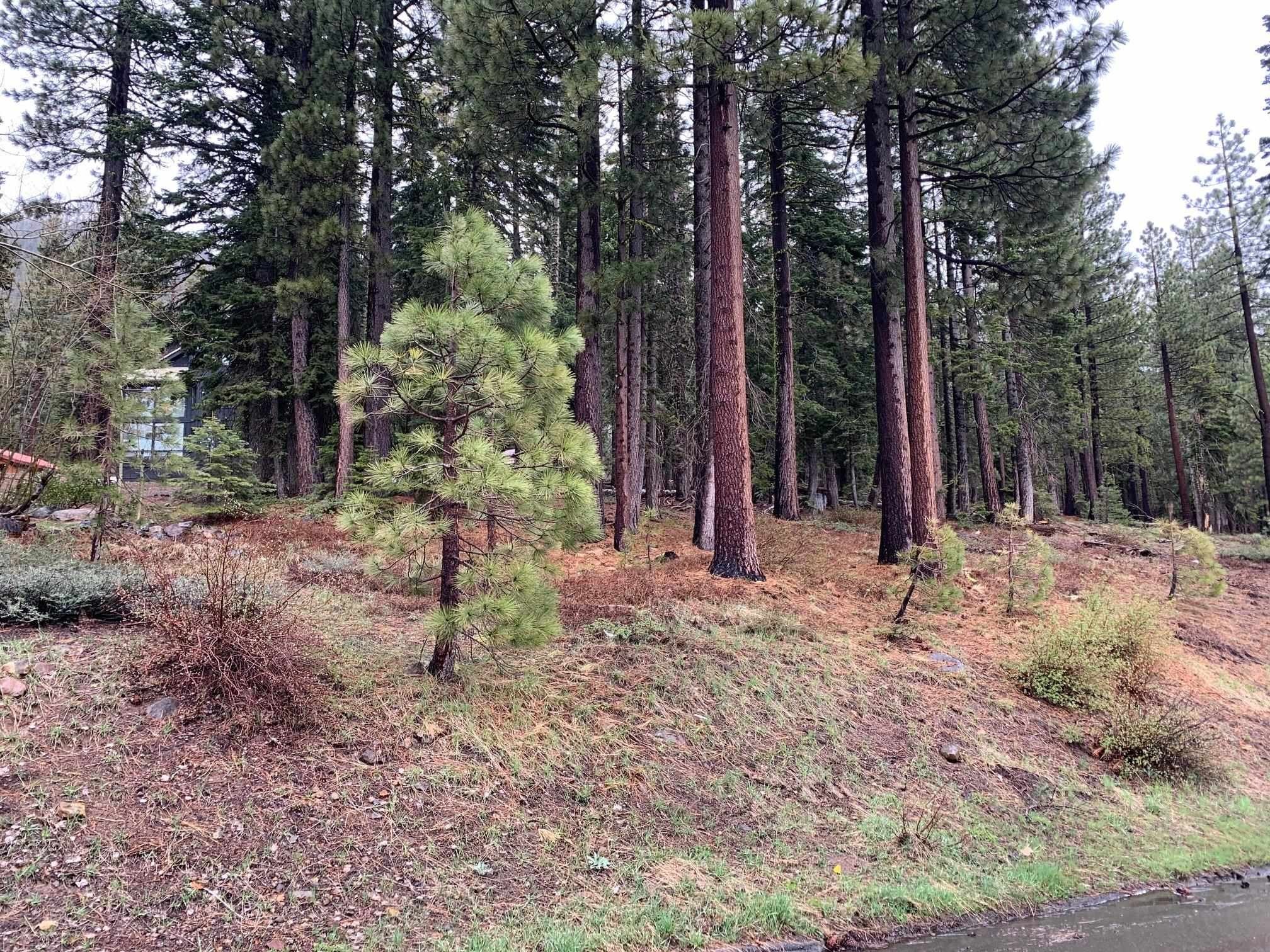 Tahoe City Land Investment