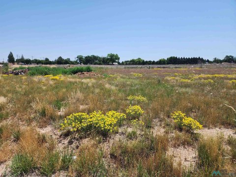Residential Lot in Quiet Neighborhood