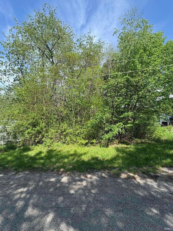Picture 4