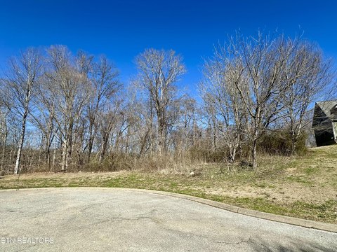 Andersonville Wooded Lot Near Norris