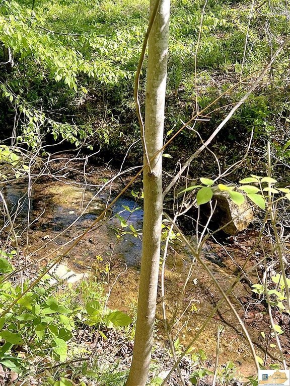Picture 31