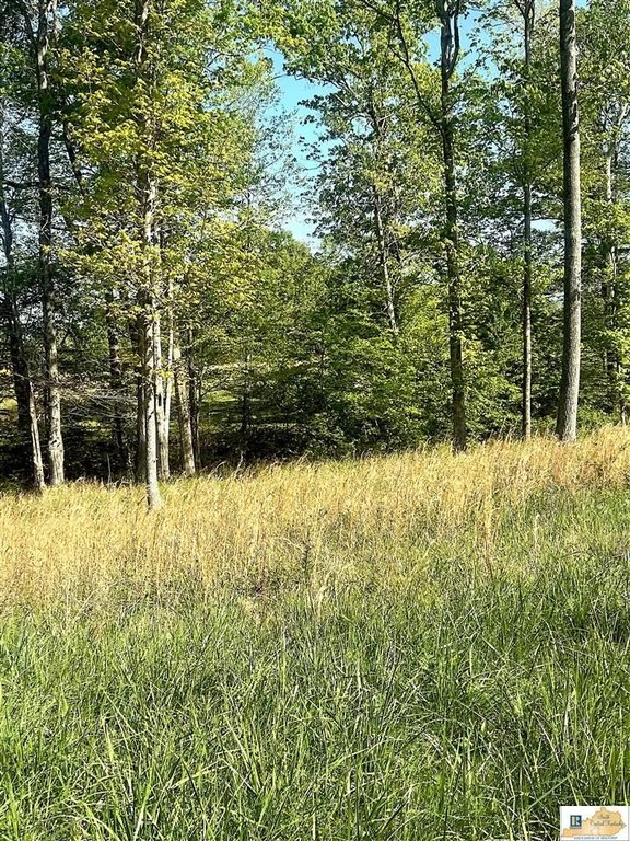 Picture 22