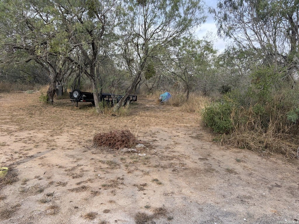 Picture 6