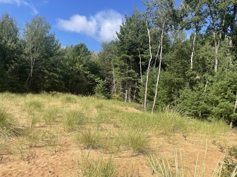 Land, Hart, MI