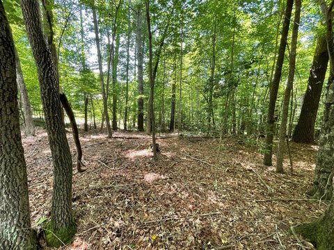 LAND - Blairsville, GA