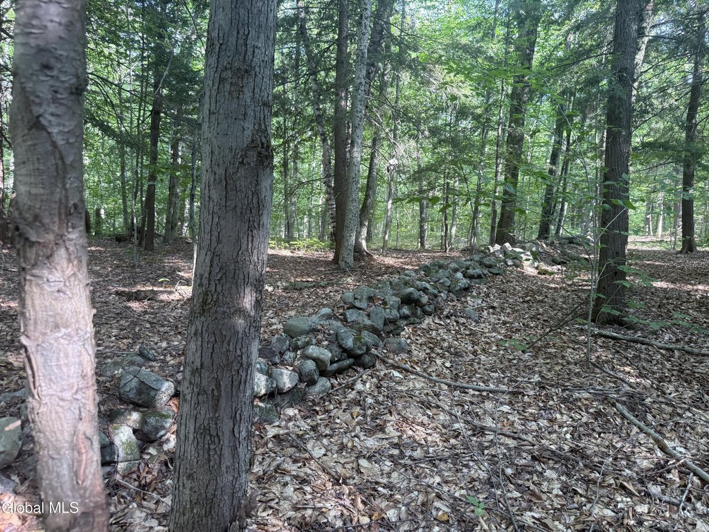 Picture 4