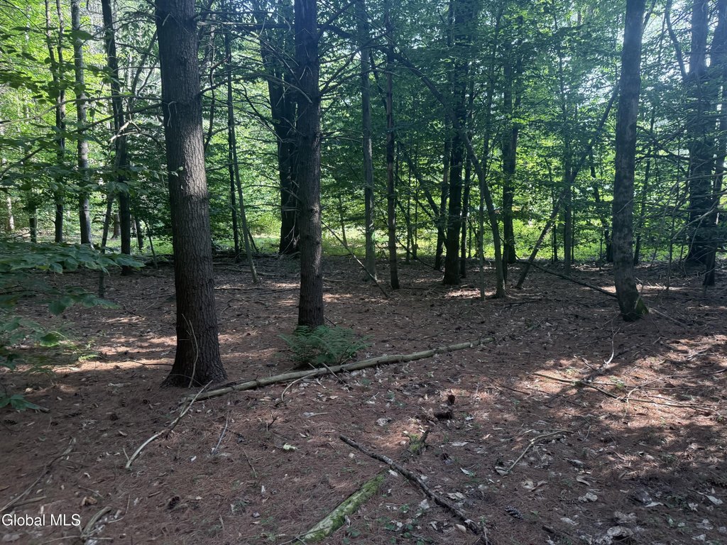 Picture 6