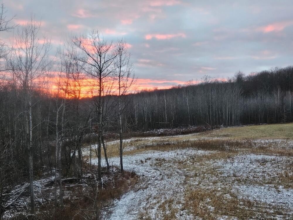 Turnkey Whitetail Hunting Land