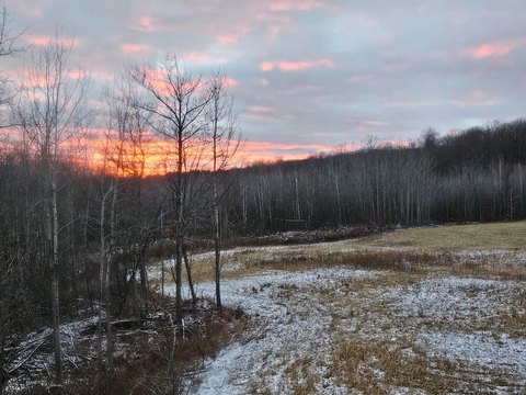 Turnkey Whitetail Hunting Land