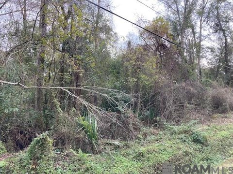 Land, Denham Springs, LA