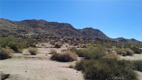 LAND - Joshua Tree, CA