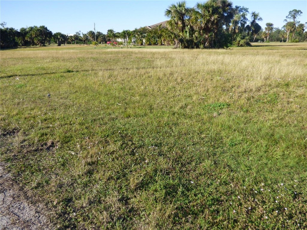 Picture 4