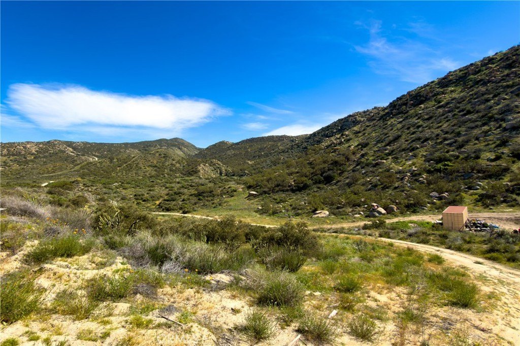 Picture 27