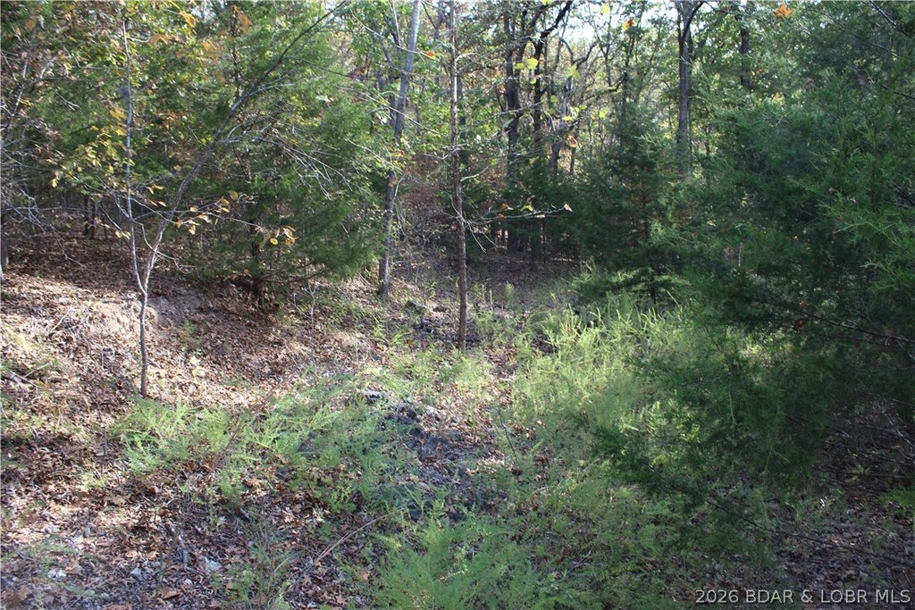 Picture 25