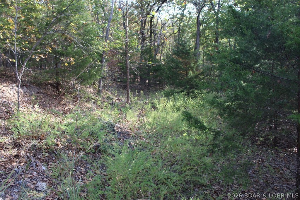 Picture 24
