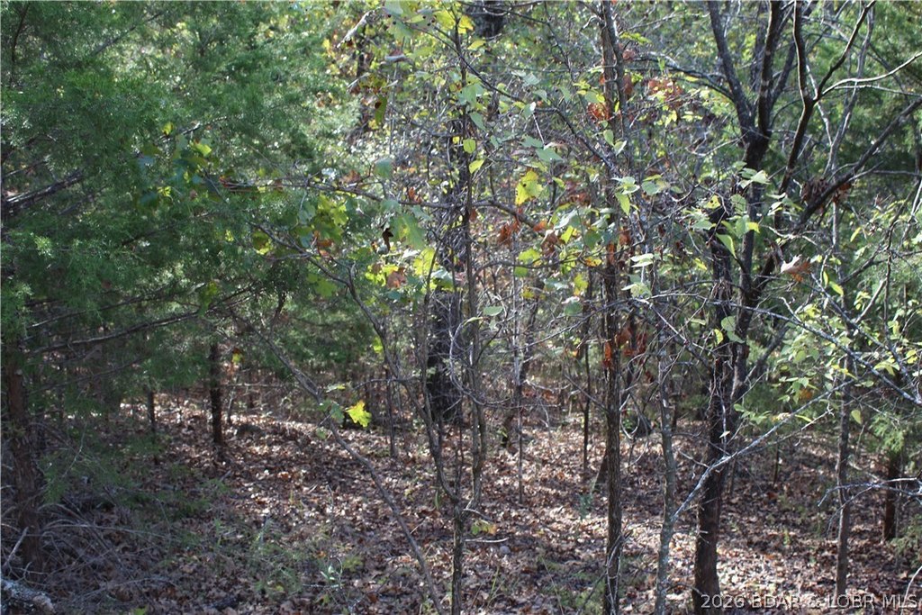 Picture 4