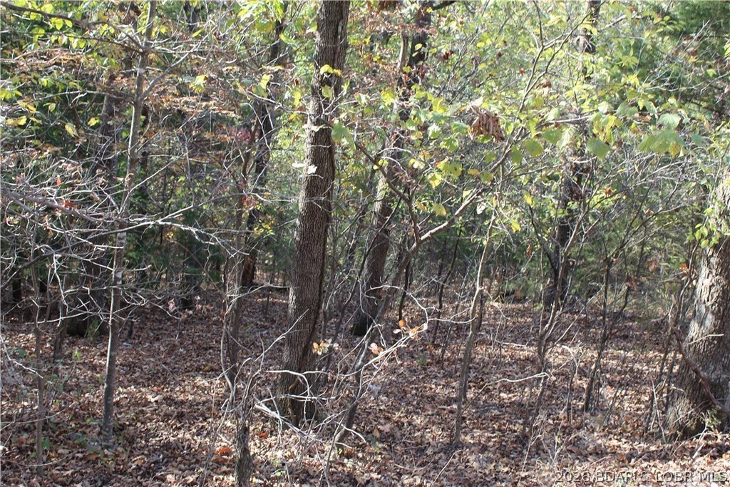 Picture 3