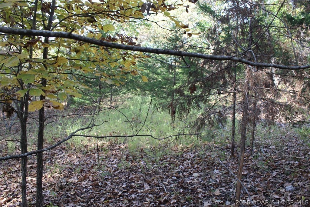 Picture 19