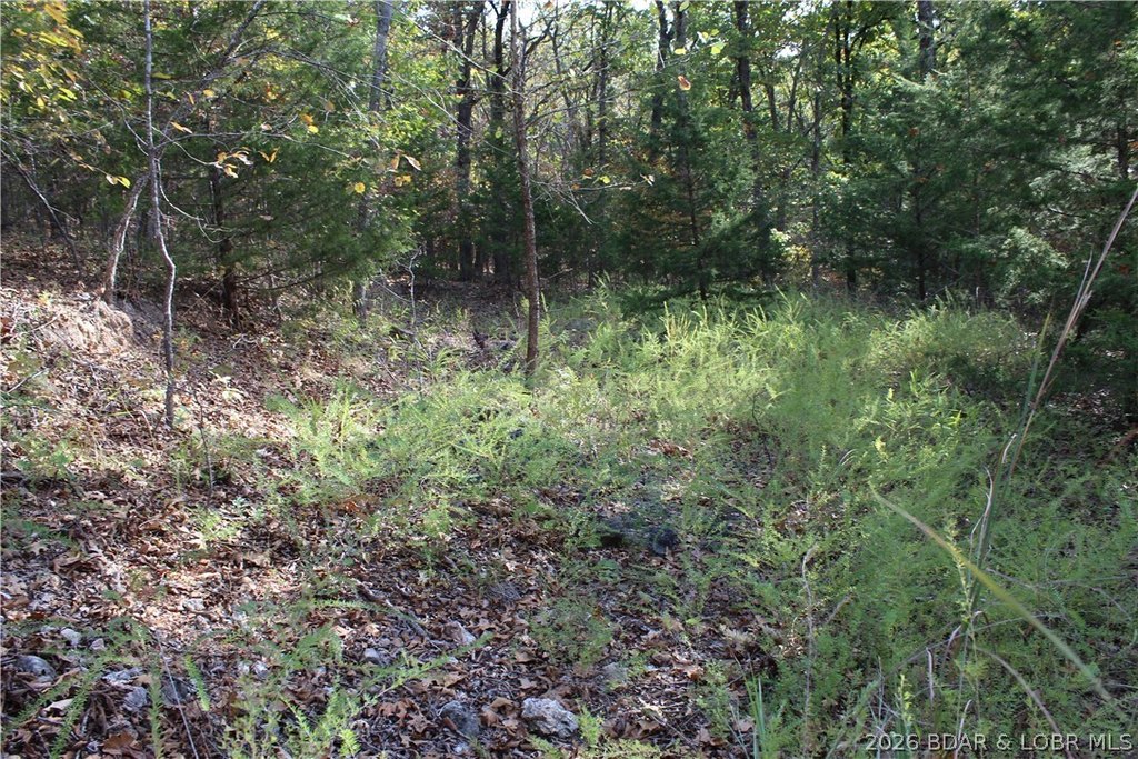 Picture 26