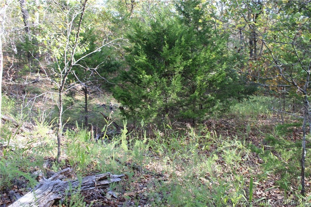Picture 23