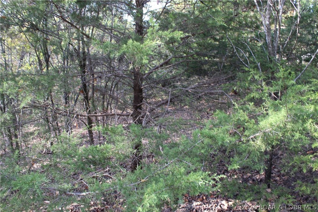 Picture 38