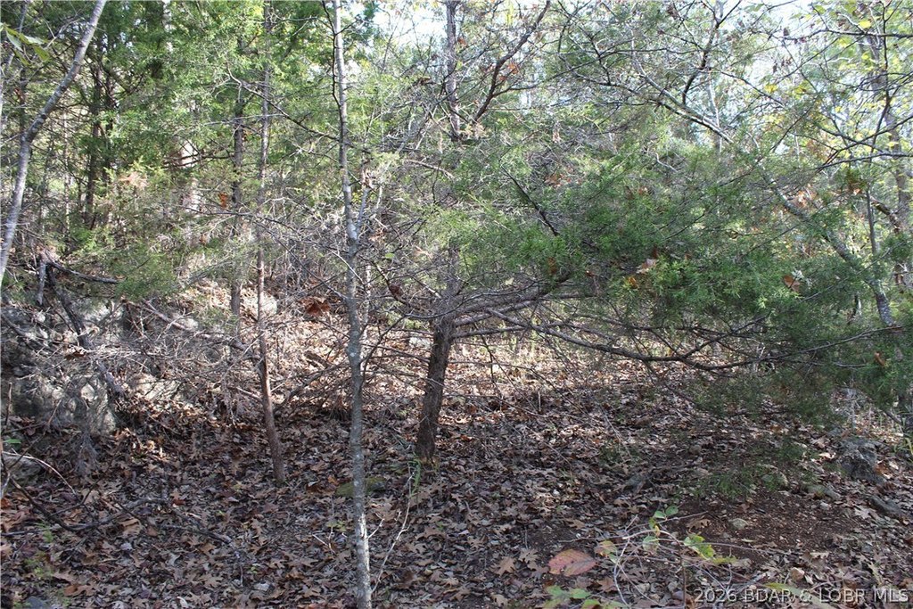 Picture 34