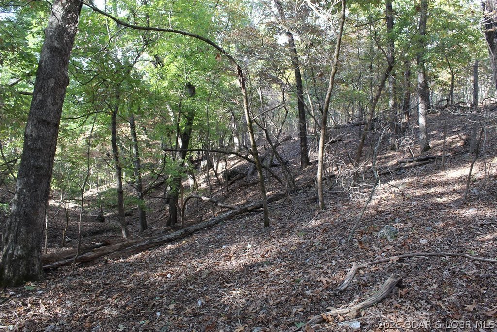 Picture 17
