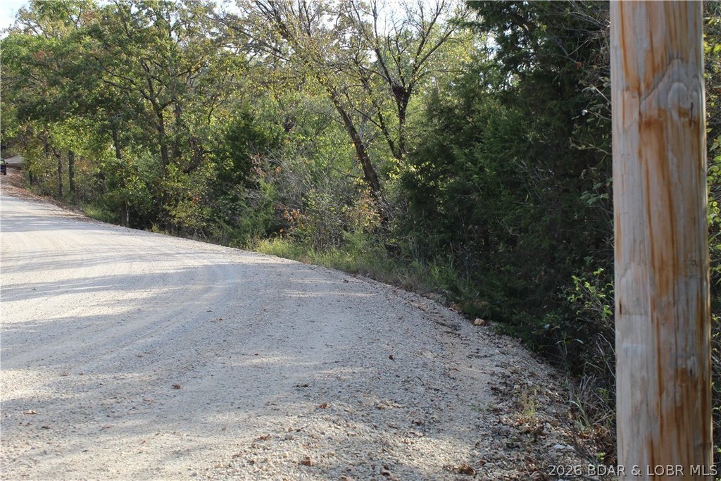 Picture 41