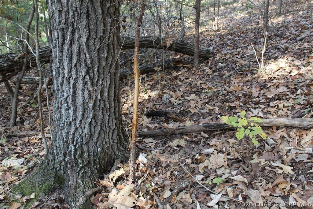 Picture 11