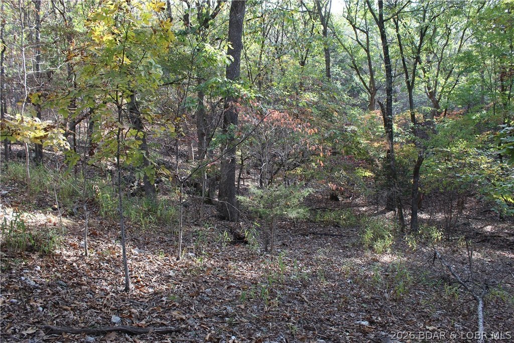 Picture 13