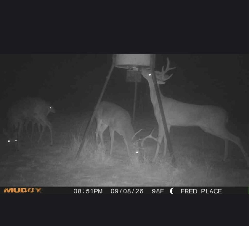 Picture 19