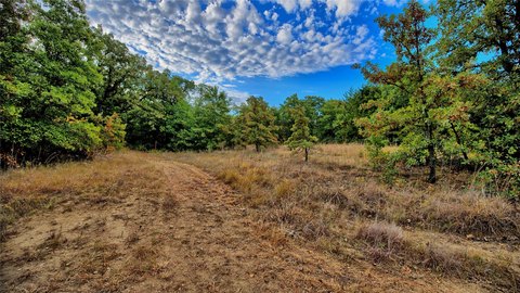 Land, St Jo, TX
