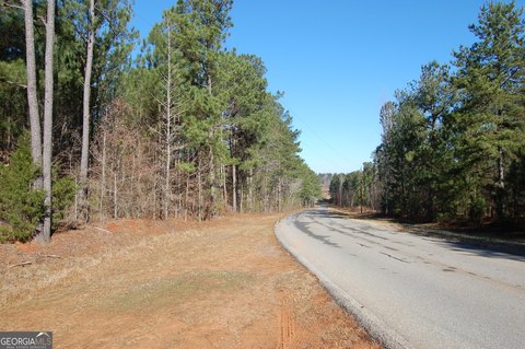 287-Acre Land Parcel in Rutledge