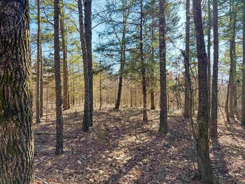 Quitman, AR 10-Acre Wooded Land