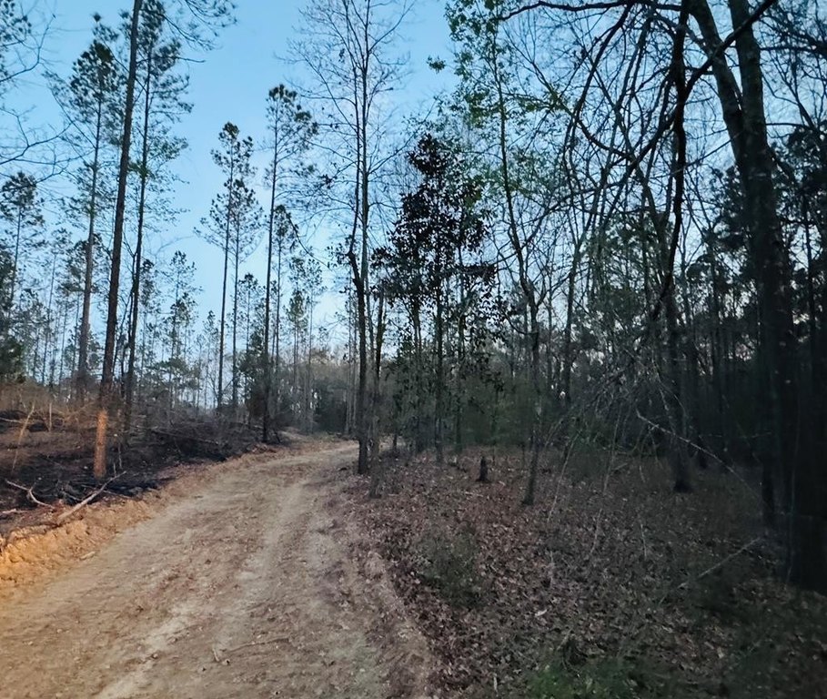 Picture 17