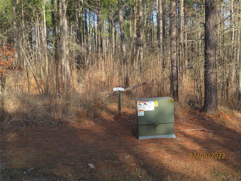 Picture 2