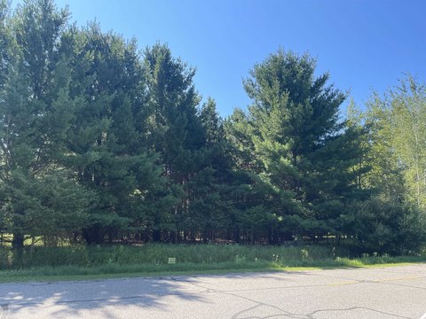 VACANT LAND, Gladwin, MI
