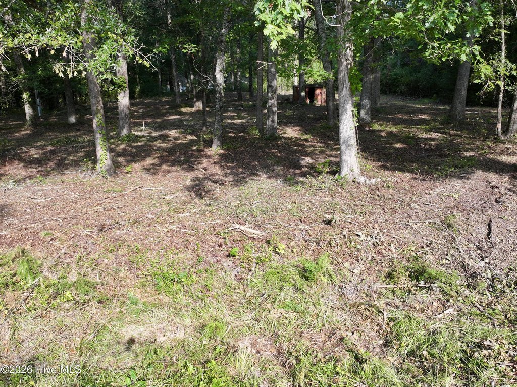 Picture 12