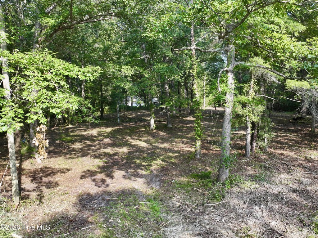Picture 14
