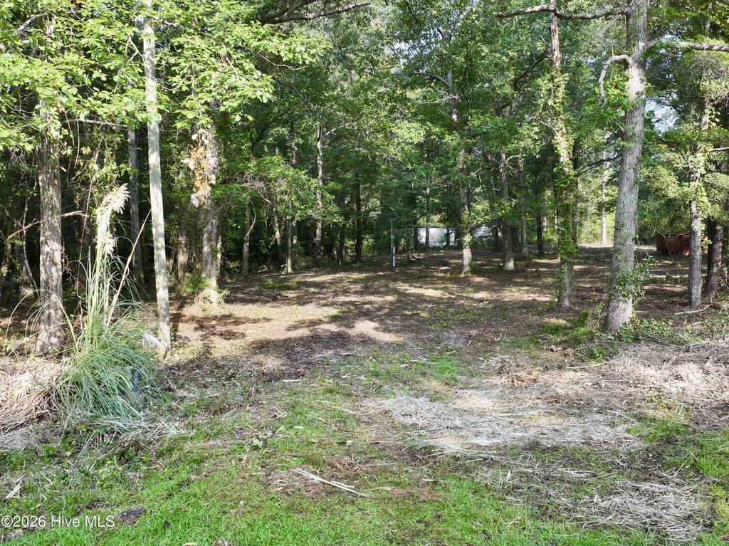 Picture 11