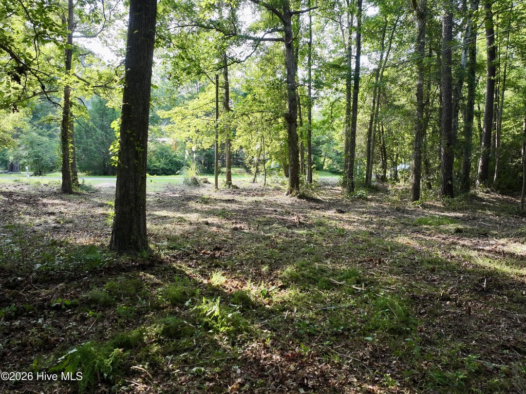 Picture 20