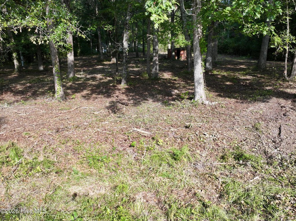Picture 13